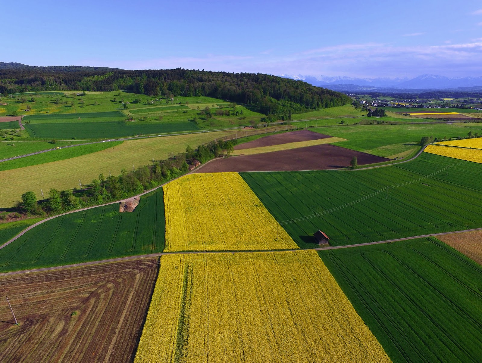 Green and yellow lands